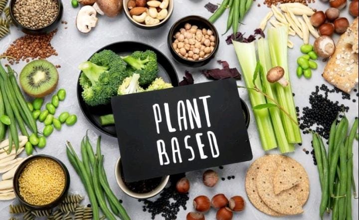 Plant-Based Diet