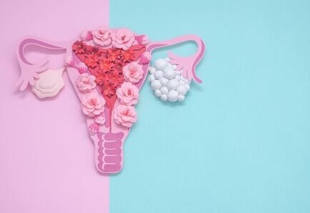 Illustration of a female reproductive system decorated with pink flowers and white spheres, symbolizing polycystic ovary syndrome (PCOS).