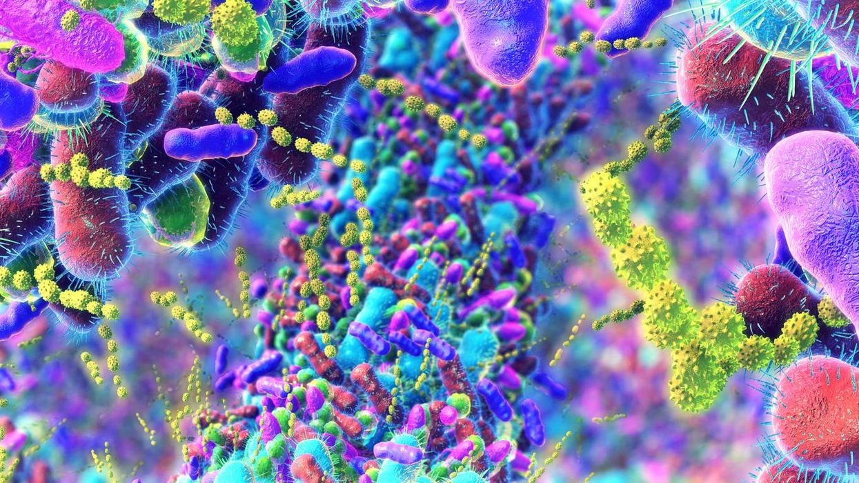 How Menopause Affects the Gut Microbiome