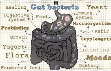 Gut Bacteria Explained: Simple Food Swaps for a Healthier Microbiome